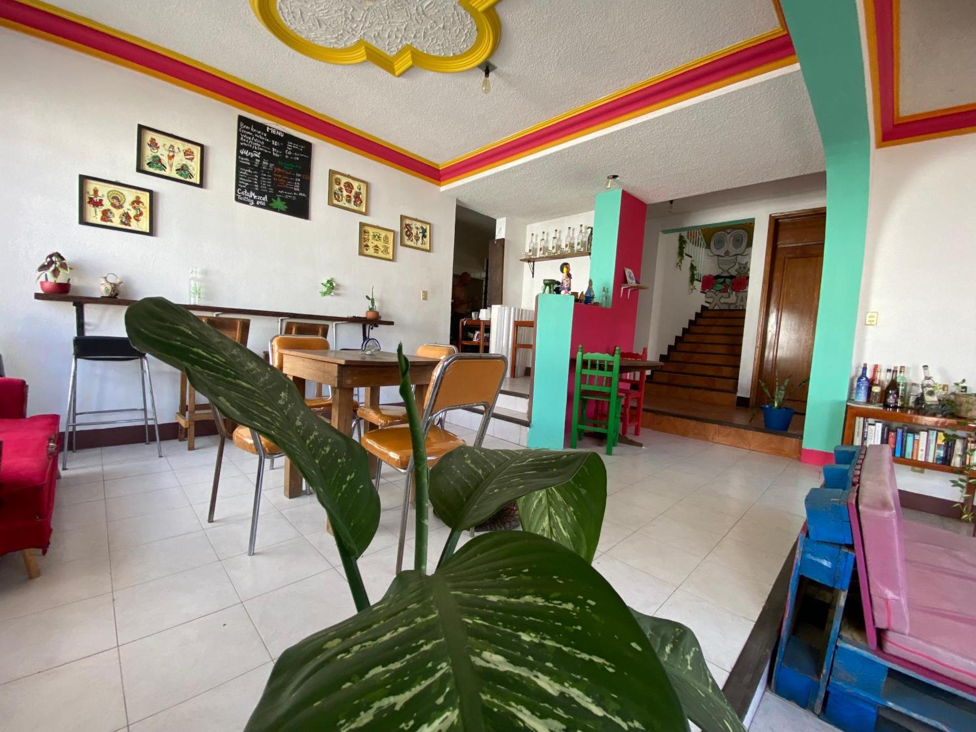 Хостел Casa El Mundo Oaxaca Экстерьер фото